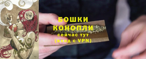 крисы Переславль-Залесский