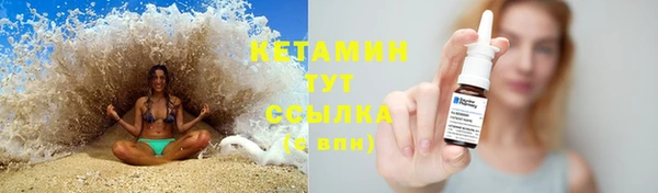 дживик Пересвет