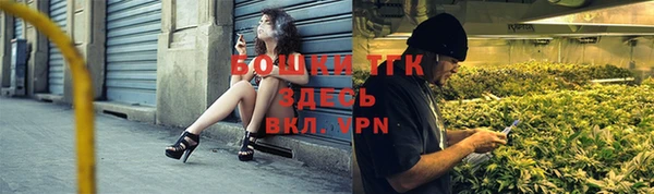 дживик Пересвет