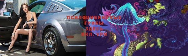 мяу мяу мука Белокуриха