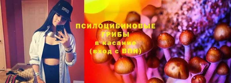 блэк спрут сайт  цены наркотик  Калачинск  Галлюциногенные грибы Cubensis 