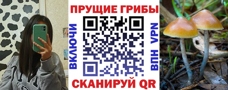 где купить наркоту  Калачинск  Галлюциногенные грибы ЛСД 